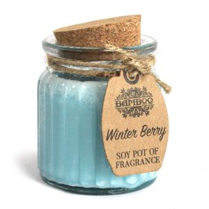 soy-pot-jar-candle-winter-berry