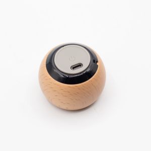 Mini wooden speaker with Mandela Effect